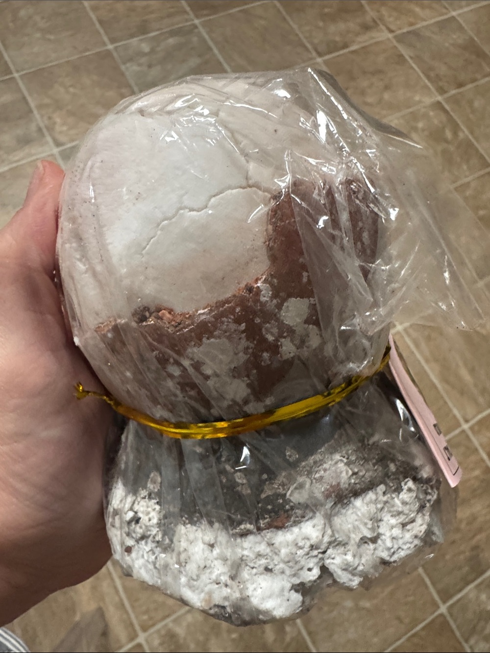 Authentic unopened asin tibuok. Gourmet artisanal salt